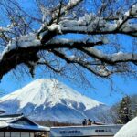 Mt. Fuji and Hakone: Full Day Private Tour W English Guide - Itinerary Overview