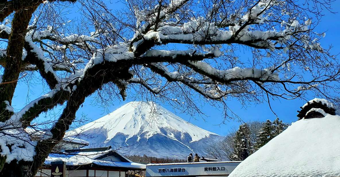 Mt. Fuji and Hakone: Full Day Private Tour W English Guide - Itinerary Overview