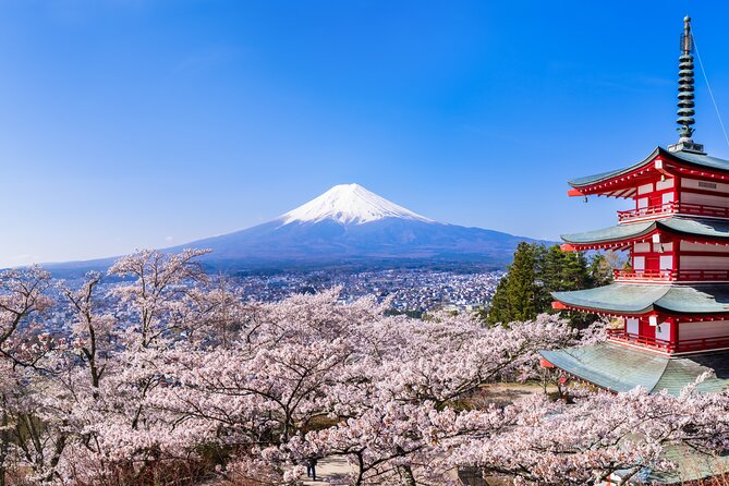 Mt.Fuji and Hakone Tour - Included in the Tour