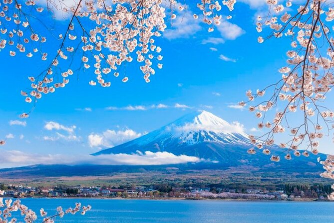 Mt. Fuji Five Lakes Area Private Tour With Licensed Guide(Kawaguchiko Area Dep) - Tour Details