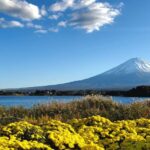 Mt Fuji: Full Day Private Tour With English Guide - Tour Overview