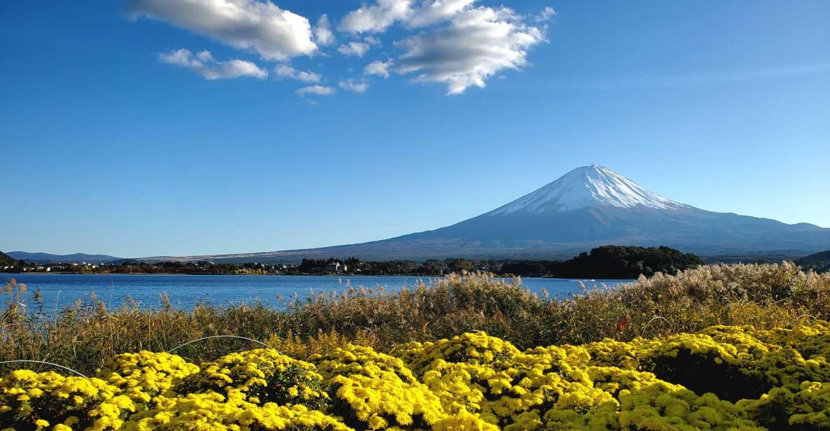 Mt Fuji: Full Day Private Tour With English Guide