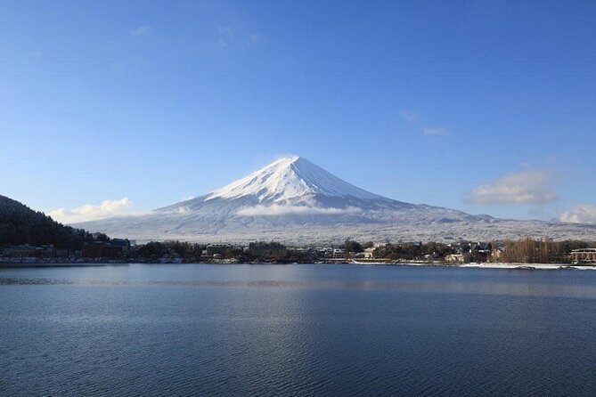 Mt. Fuji & Hakone 1 Day Bus Tour From Tokyo Station Area