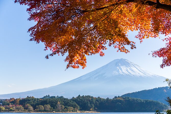 Mt. Fuji or Hakone Private Sightseeing Day Tour From Tokyo