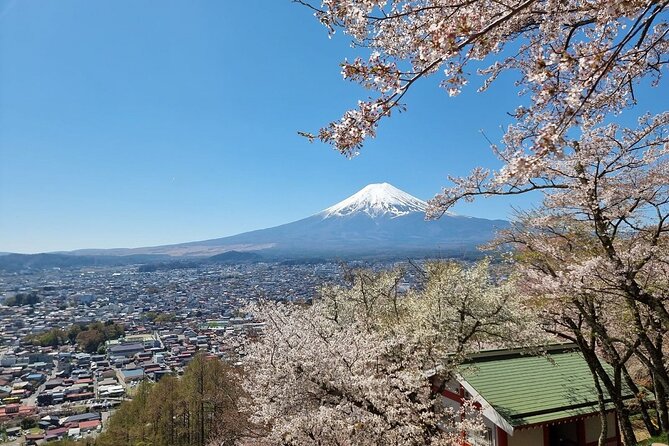 Mt. Fuji View and 2hours+ Free Time at Gotemba Premium Outlets - Tour Overview