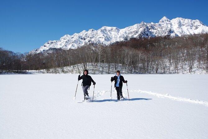 Nagano Snowshoe Hiking Tour - Tour Overview