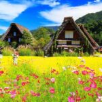 Nagoya: Shirakawa-go Village and Takayama UNESCO -Day Trip - Tour Overview