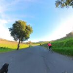 Napa/Sonoma: Guided Tour for Cycling Enthusiasts - Tour Details