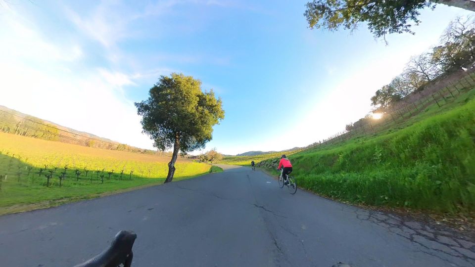 Napa/Sonoma: Guided Tour for Cycling Enthusiasts