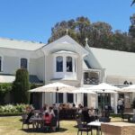 Napier: Afternoon Wine Gin Tasting Tour - Tour Overview