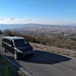 Naples: Drive to Paestum and Visit the Temples - Pricing and Availability
