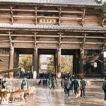Nara Like a Local: Customized Guided Tour - Tour Overview