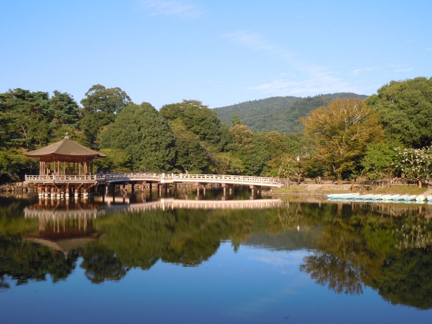 Nara: Todaiji and Nara Park (English Guide)