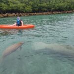 Nature & Island Exploration on SUP/Kayak - Tour Overview