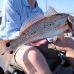 New Orleans: Kayak Fishing Charter in Bayou Bienvenue - Fishing Expedition in Bayou Bienvenue