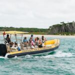 Noosa Heads: Ocean Rider Dolphin Safari - Tour Overview
