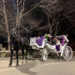 NYC Horse Carriage Ride in Central Park ( Min) - Activity Details