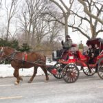 NYC Horse Carriage Ride in Central Park ( Min) - Overview of the Activity