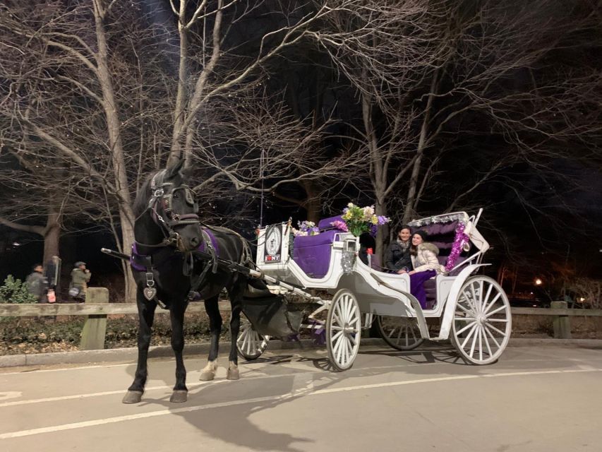 NYC Horse Carriage Ride in Central Park (65 Min) - Activity Details