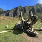 Oahu: Kualoa Movie Sites, Jungle, and Buffet Tour Package - Tour Duration and Schedule