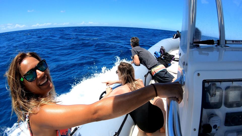 Oahu: Private Whale Watching Adventure - Pricing and Reservation Details