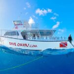 Oahu: Shallow Reef Scuba Dive for Certified Divers - Activity Details