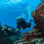 Oahu: Shallow Reef Scuba Dive for Certified Divers - Dive Details