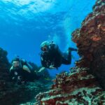 Oahu: Wreck & Reef Scuba Dive for Certified Divers - Activity Overview