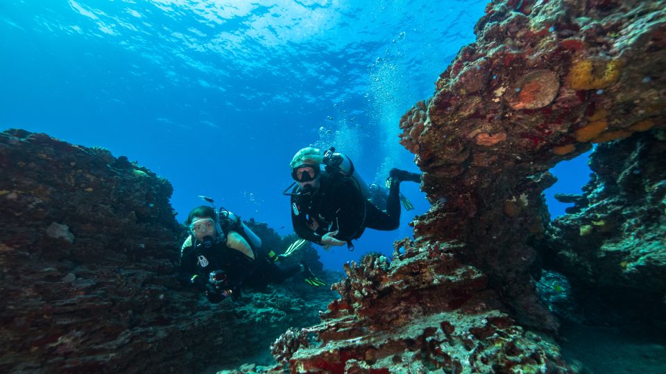 Oahu: Wreck & Reef Scuba Dive for Certified Divers