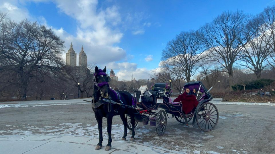 Official VIP Whole Central Park Horse Carriage Tour - Tour Details