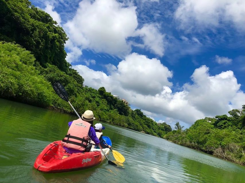 Okinawa: Mangrove Kayaking Tour