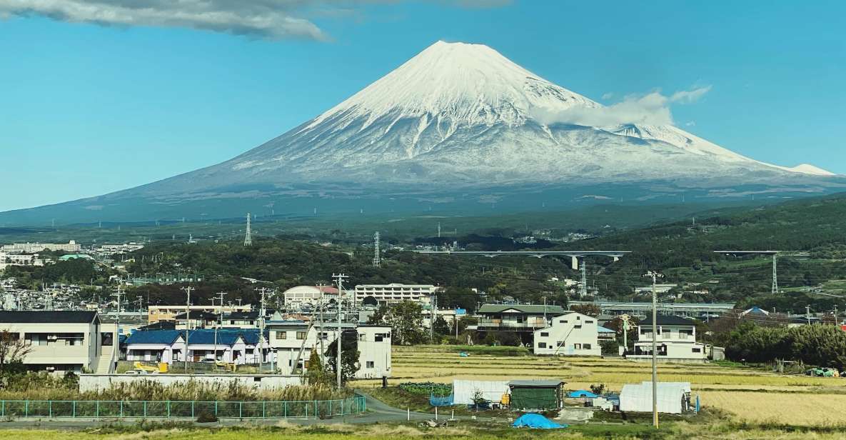 One Day Private Tour to Mt Fuji & Hakone With English Driver - Customizable Itinerary Options