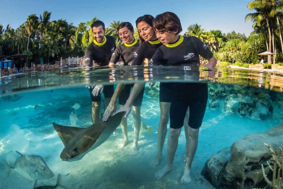 Orlando: Discovery Cove Admission Ticket & Additional Parks