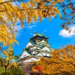 Osaka: -Hour Customizable Tour With Private Car - Exploring Osakas Top Attractions