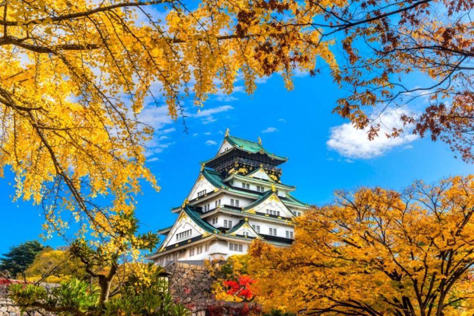 Osaka: 10-Hour Customizable Tour With Private Car - Exploring Osakas Top Attractions