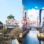 Osaka: Full-Day Private Guided Walking Tour - Tour Overview