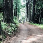 Pacific Grove: Old Coast Road E-Bike Tour - Tour Overview