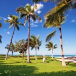 Pearl Harbor History Remembered Tour From Ko Olina - Tour Overview