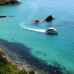 Phillip Island: -Hour Cape Woolamai Scenic Cruise - Activity Details
