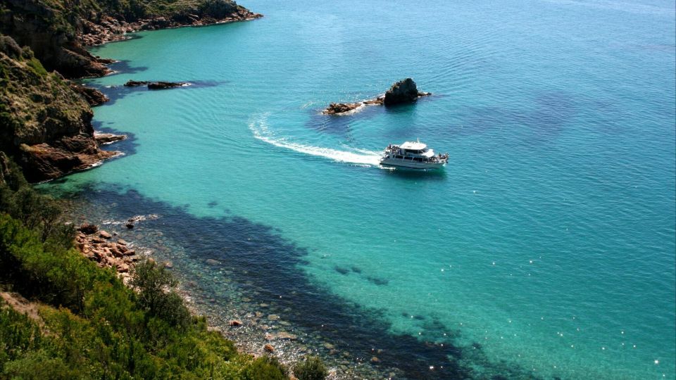 Phillip Island: 1-Hour Cape Woolamai Scenic Cruise - Activity Details