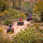 Phoenix: Discover the Sonoran Desert on an Off-Road UTV Tour - Tour Details