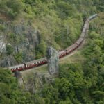 Port Douglas: World Heritage Forest by Skyrail & Scenic Rail - Tour Details