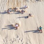 Port Stephens: Unlimited Sandboarding & WD Sand Dune Tour - Tour Details
