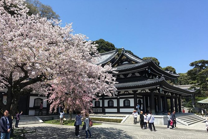 Private Car Tour to See Highlights of Kamakura, Enoshima, Yokohama From Tokyo - Tour Overview and Details