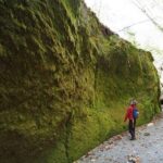 Private Day Trip of Lake Shikotsu and Moss Canyon - Overview of the Tour