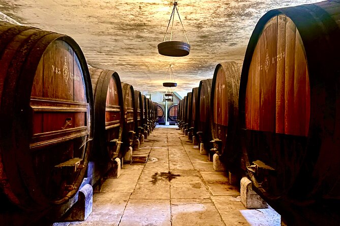 Private Full Day Wine Tour With Lunch in Southern Lisbon - Tour Overview