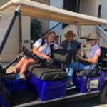 Private Guided Golf Cart Tour of Avalon - Inclusions