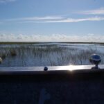 Private Tour: Florida Everglades Airboat Ride and Wildlife Adventure - Meeting and Pickup