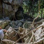 Queensland: Minute Capricorn Caves Explorer Tour - Tour Overview