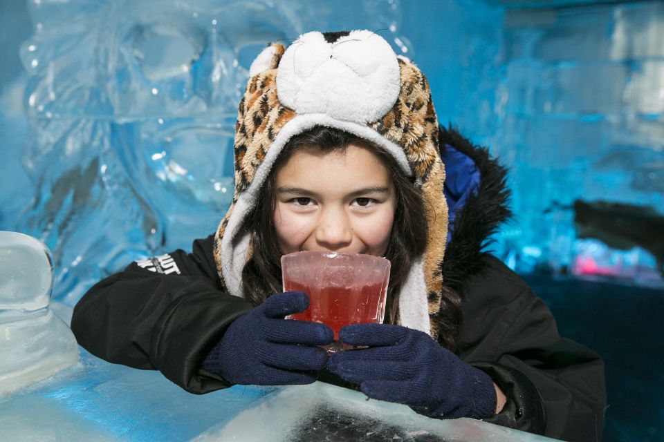 Queenstown: Minus Ice Bar Experience With Drink Options - Experience Details